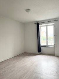 IMG 4953