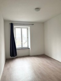 IMG 4954