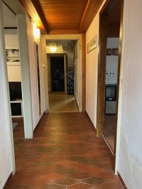 IMG 4557