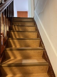 IMG 4567